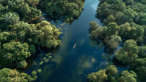 Drone flying over a wide Amazon river, deep dark water cutting through dense rainforest
