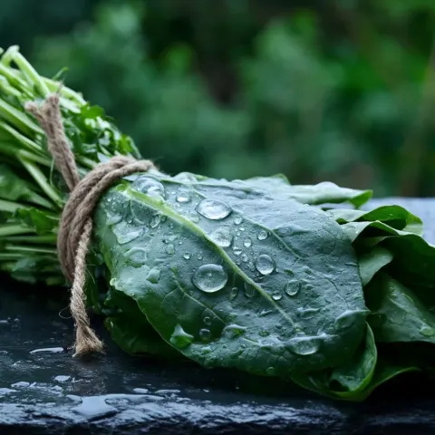 Close-up of a fresh bunch of wild garlic, arugula, and young spinach