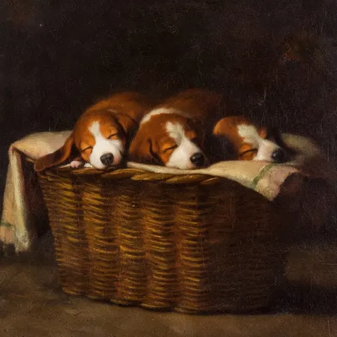 Sleeping cats, A heartwarming traditional oil painting of a litter of cute hound puppies sleeping pe