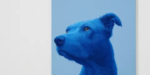 A painting of a blue dog