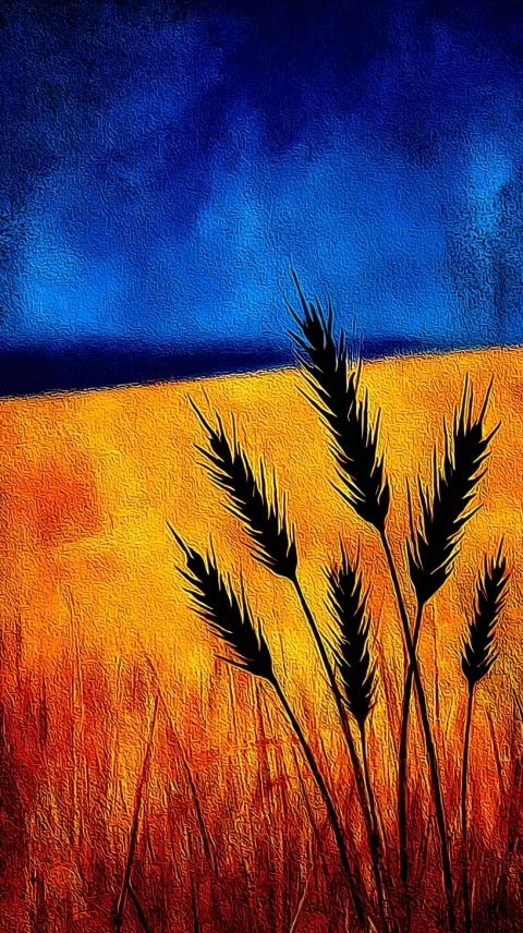 A golden wheat field, with the sun shining on it and a blue sky in the background. The grain is full