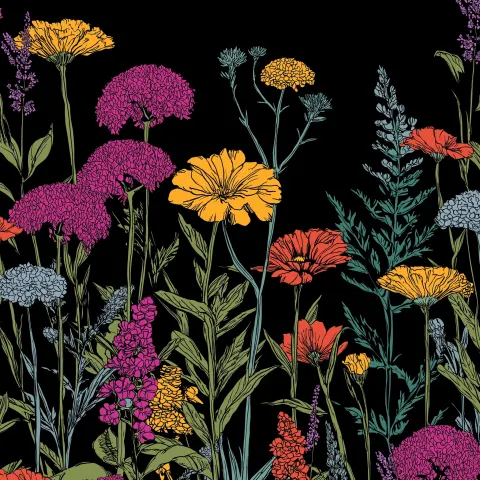 Colorful wildflowers on a black ground. high definition with black outlines