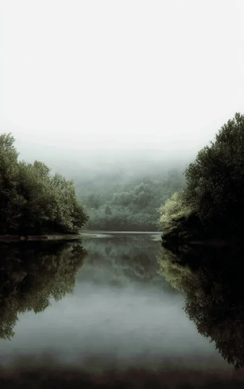 Photo of summer lake down the middle, short green trees on the side