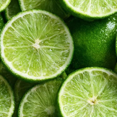 A close-up of fresh, bright green lime slices arranged in an artistic pattern on the surface. the li